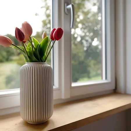 Vergissmeinnicht Neckarbischofsheim